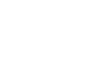 Rivera Rodriguez and Associates, Inc.